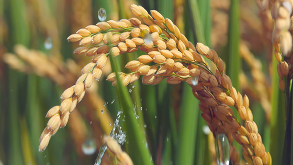 尊龙凯时 - 人生就是博!(中国区)官网